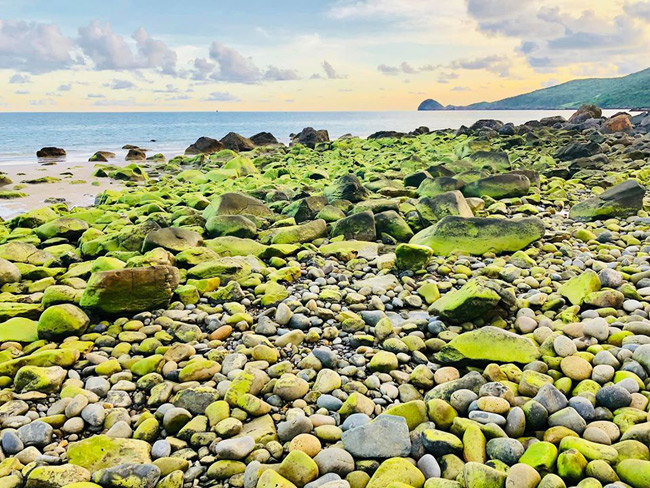 bai nhat an unexplored beach in con dao off southeast coast of vietnam