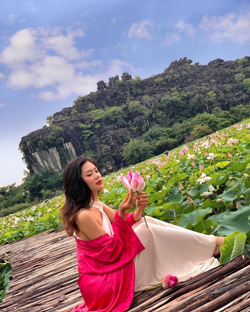 northern vietnams marvelous lotus lagoon suddenly blooms amidst autumn