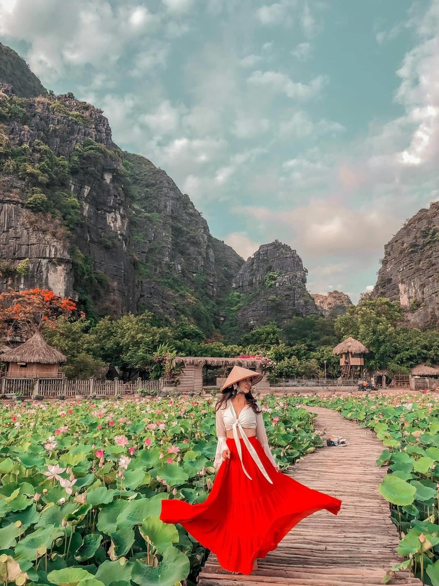 northern vietnams marvelous lotus lagoon suddenly blooms amidst autumn