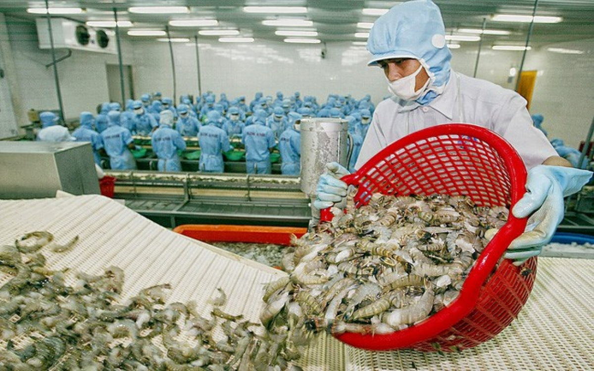 vietnamese shrimp exports to eu expected to surge in remaining months of 2020 thanks to evfta