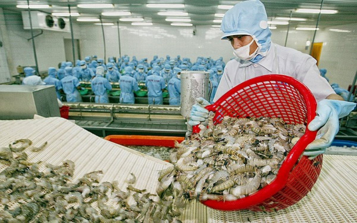 Vietnamese shrimp exports to EU expected to surge in remaining months of 2020 thanks to EVFTA