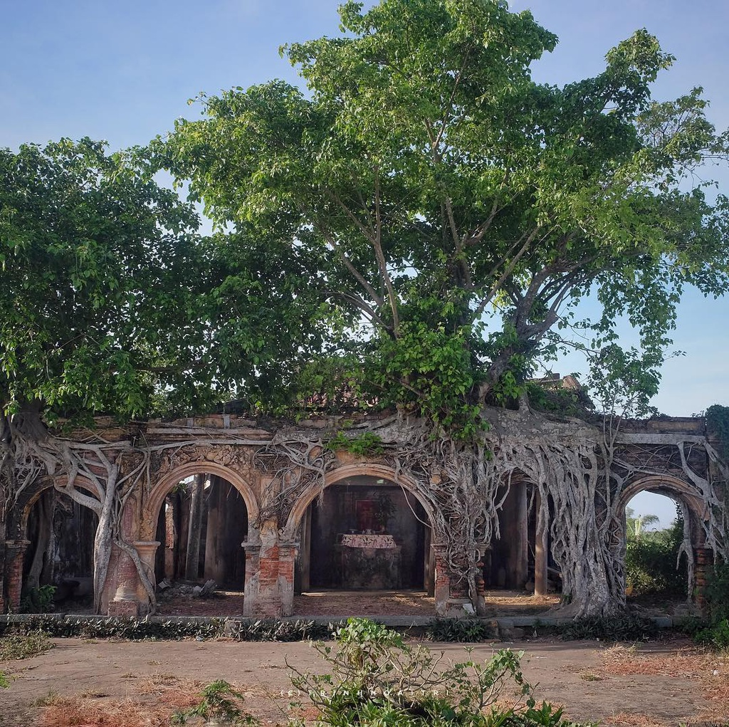 unique centenarian communal house embraced by bodhi tree roots in vietnams mekong delta