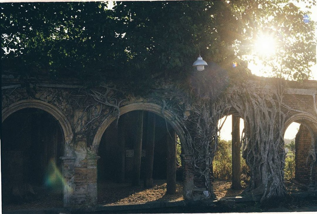 unique centenarian communal house embraced by bodhi tree roots in vietnams mekong delta