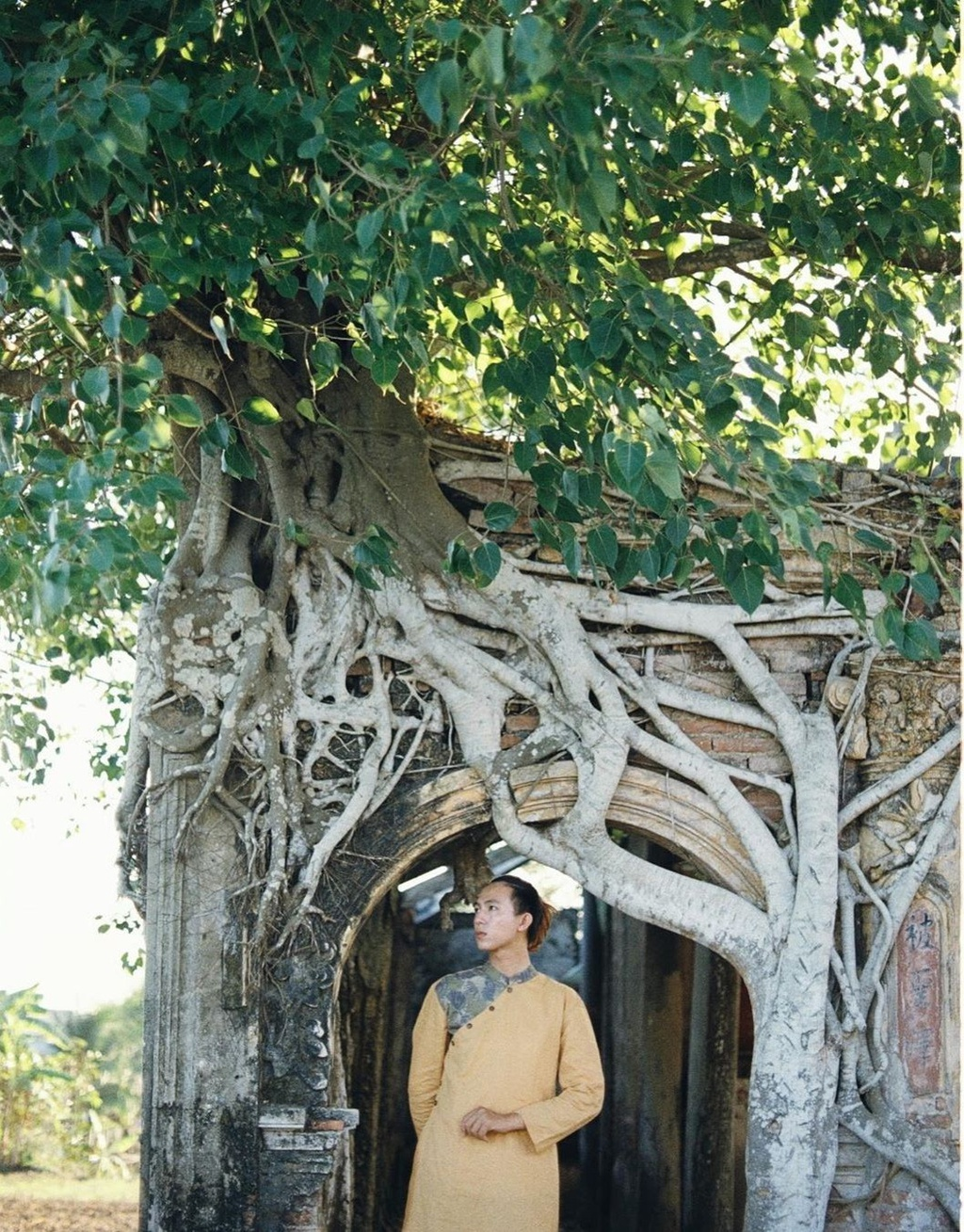 unique centenarian communal house embraced by bodhi tree roots in vietnams mekong delta