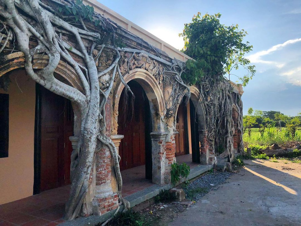 unique centenarian communal house embraced by bodhi tree roots in vietnams mekong delta