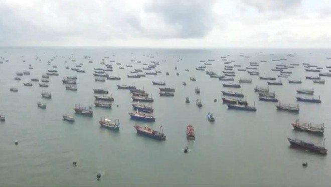 Chinese fishing vessels pose possible threats to seafood resources in Bien Dong Sea
