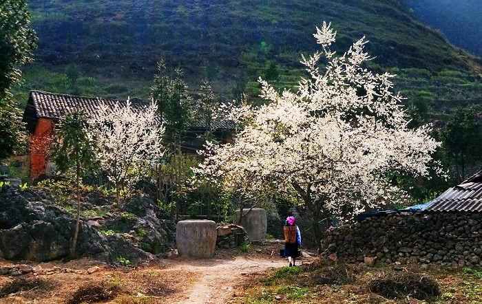 Picturesque mountainous towns in Northwestern Vietnam