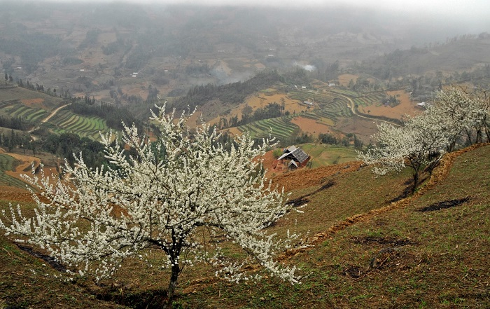 picturesque mountainous towns in northwestern vietnam