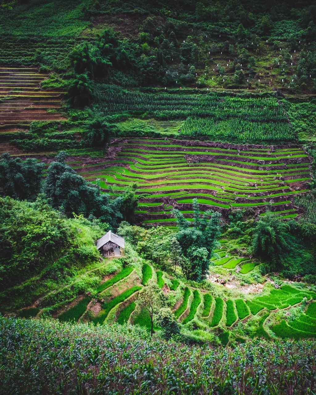 four captivating valleys in vietnam