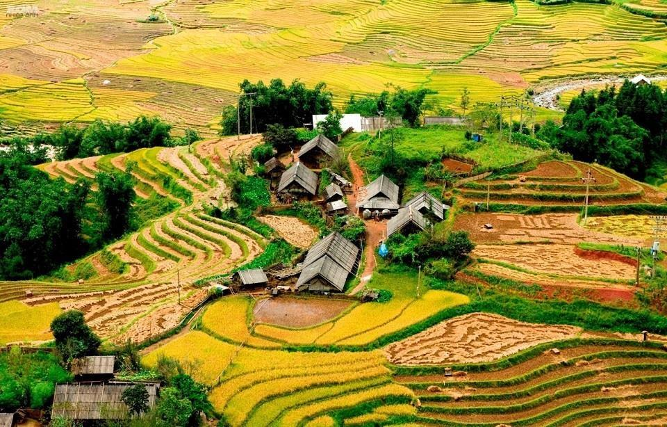 Four captivating valleys in Vietnam