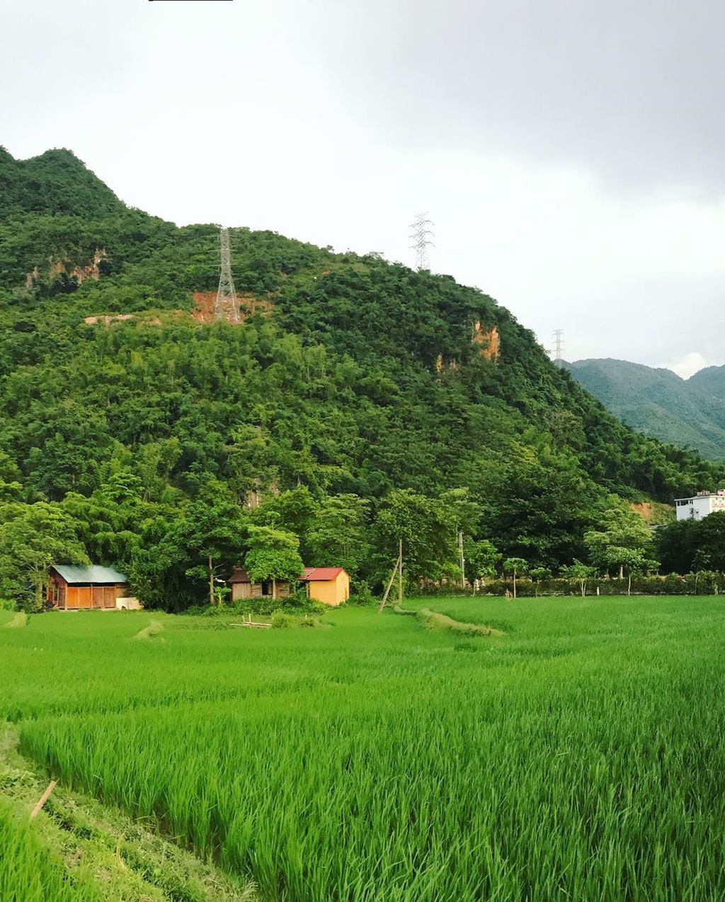 Four captivating valleys in Vietnam