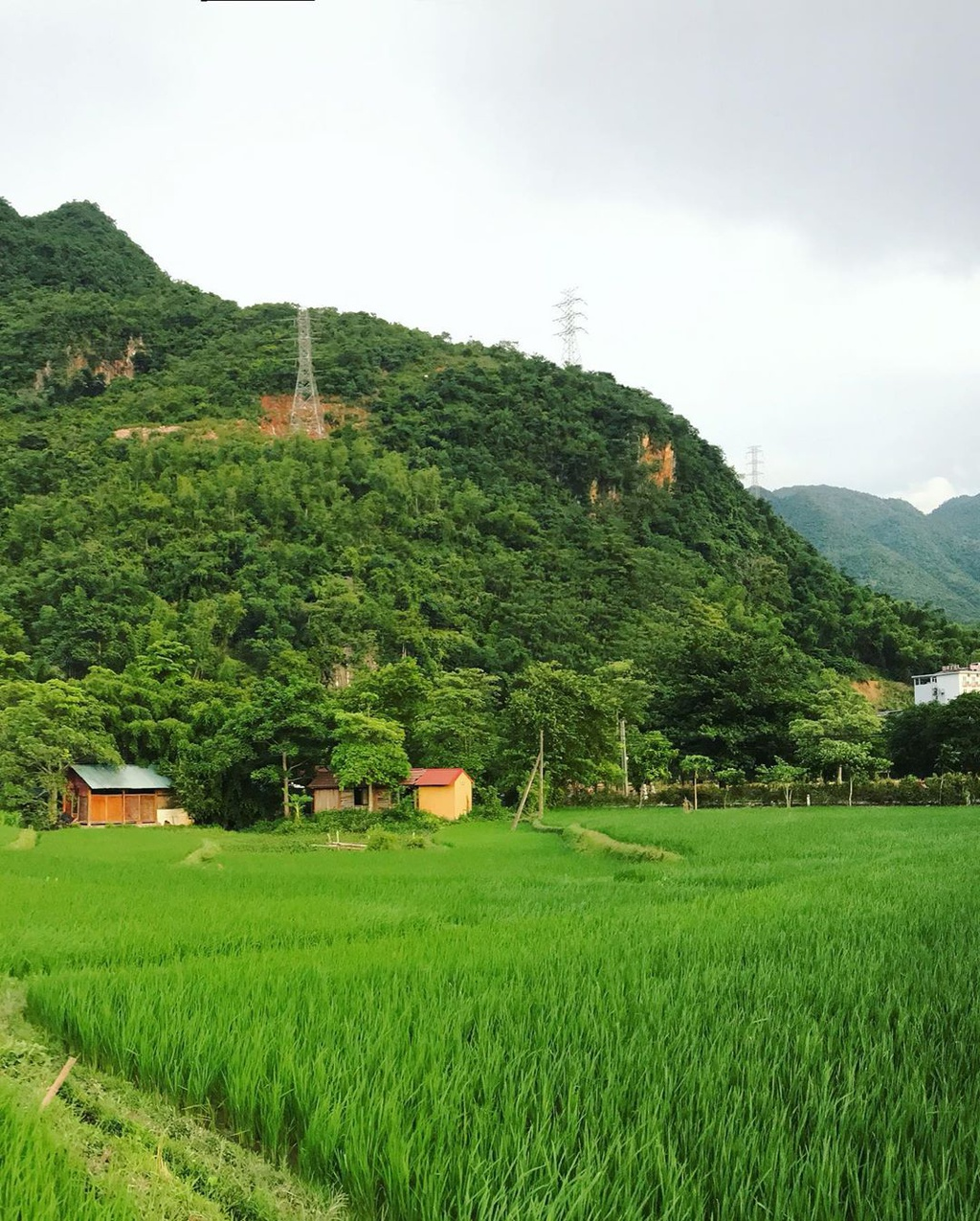 four captivating valleys in vietnam