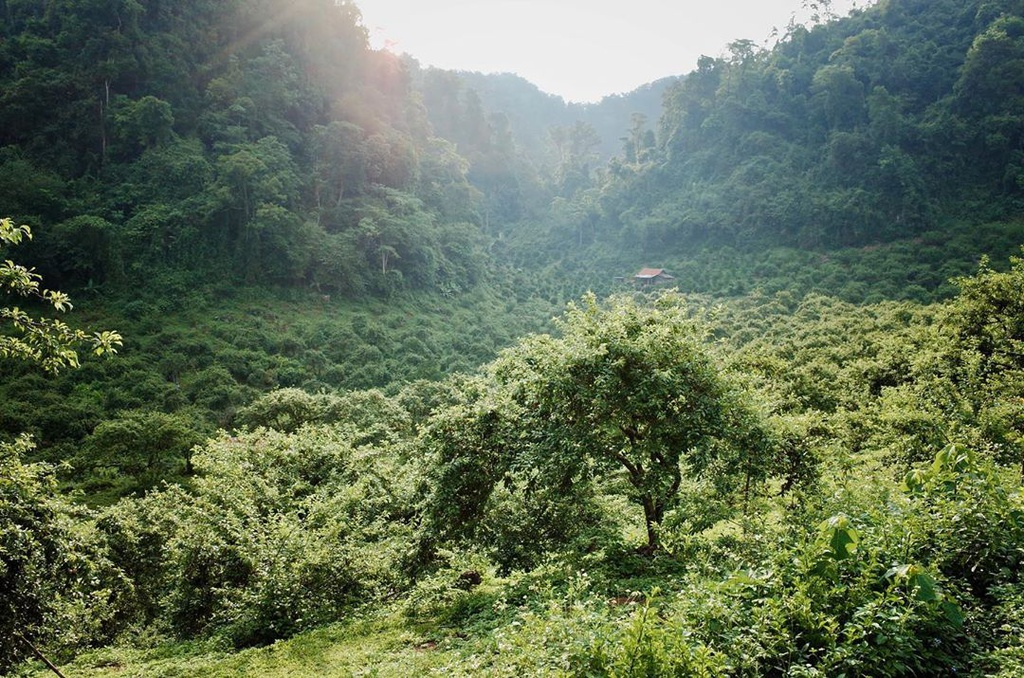 Four captivating valleys in Vietnam