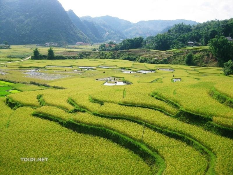 exploring valley of clouds in northern vietnam