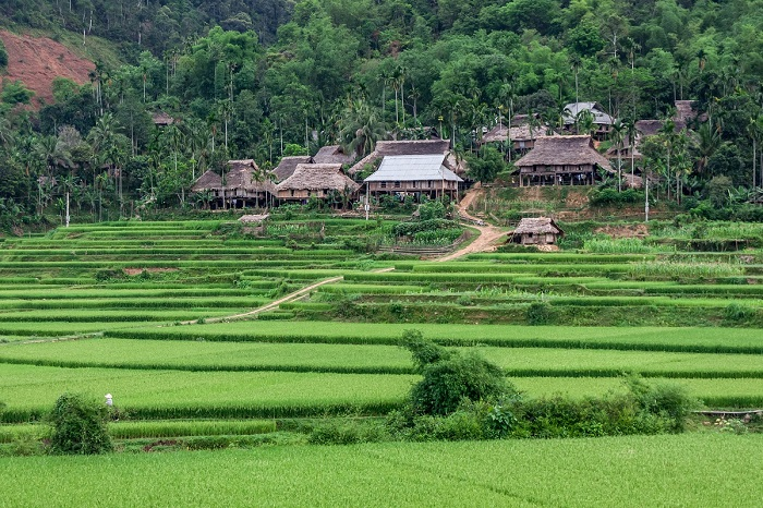 Travel guide for an unforgettable trip to Pu Luong, secluded place in Northern Vietnam