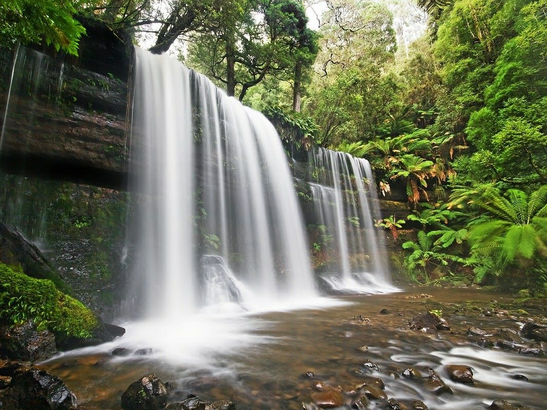 Conquering mysterious Elephant Waterfall in Central Highlands