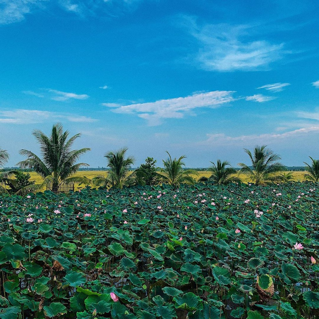 exploring western vietnam in watery season