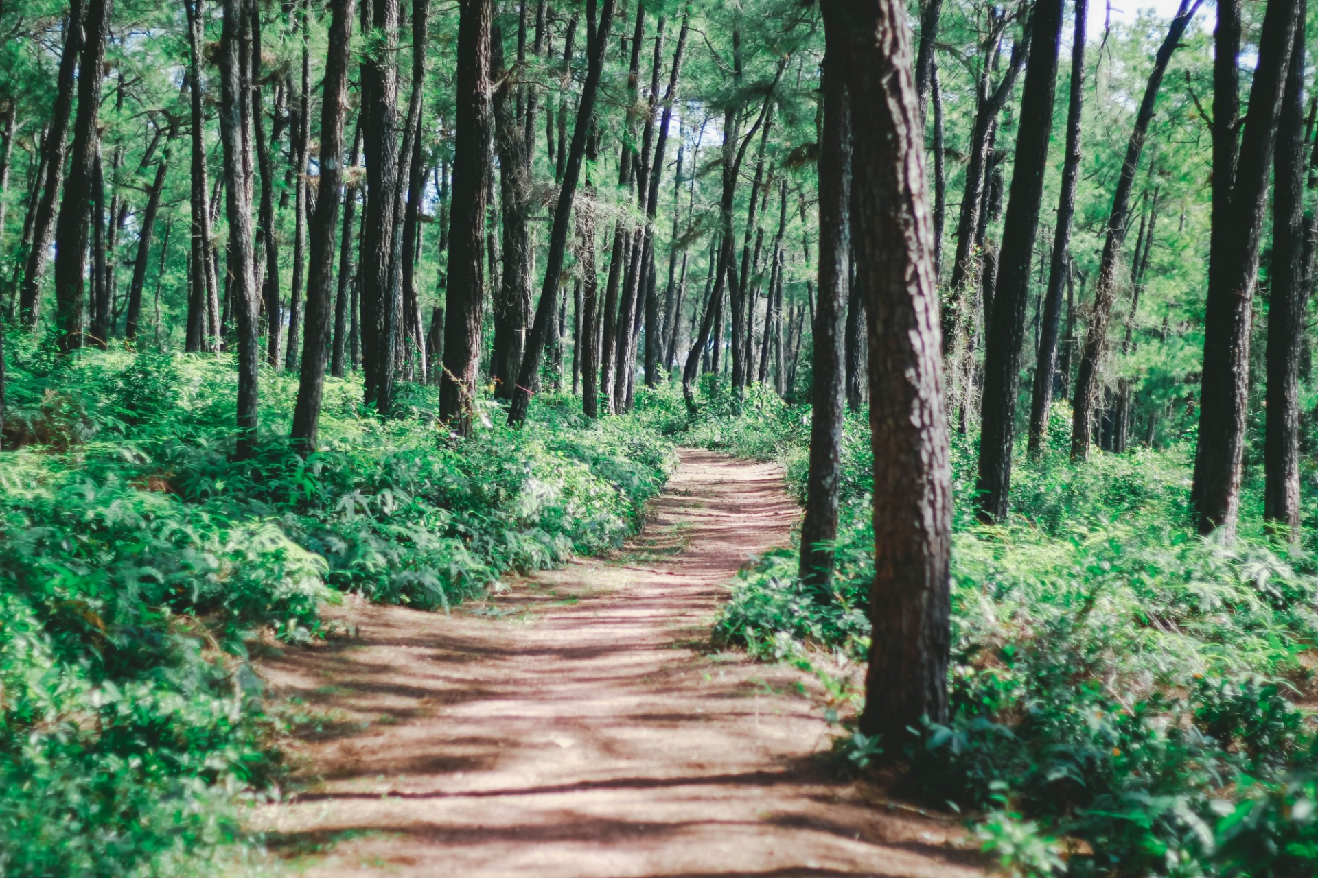 three picturesque hills in hue for serenity seekers