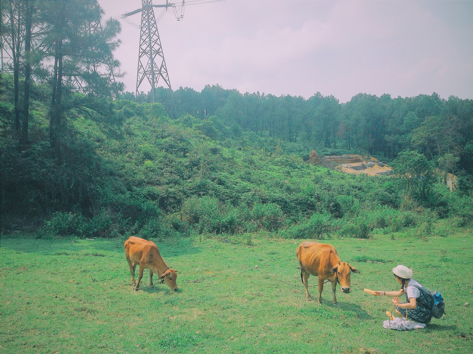 three picturesque hills in hue for serenity seekers