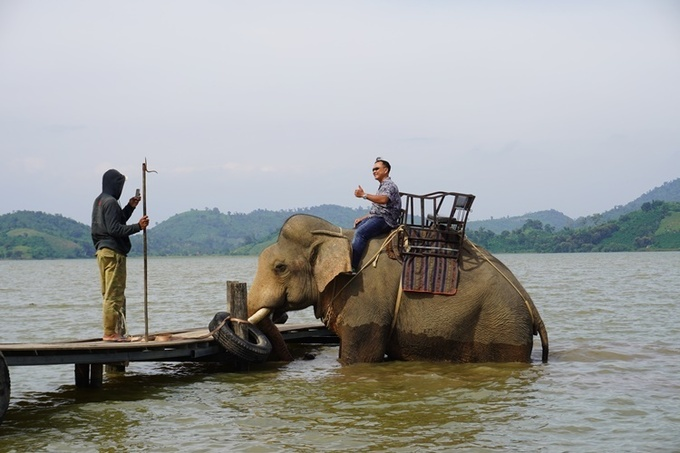 Dak Lak mulls to eliminate elephant-riding tours