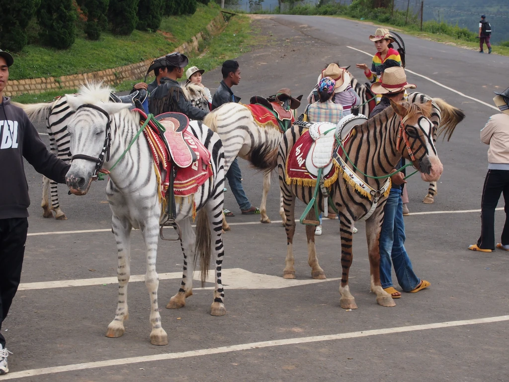 Weirdest places in Vietnam under the eyes of foreigner