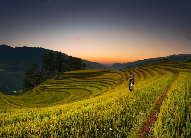 Mu Cang Chai, an ideal place to admire milky way