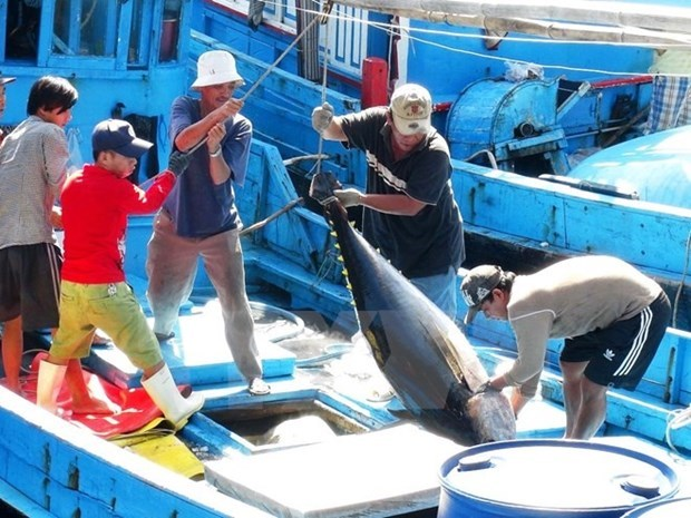 vietnams tuna exports to italy enjoy record increase in september
