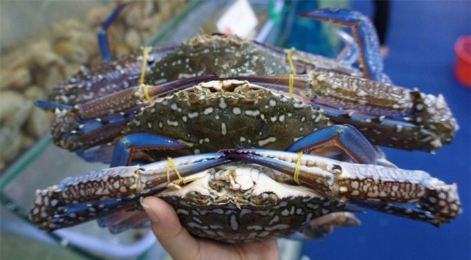 Vietnam’s crab exports to China skyrocket in first nine months of 2020