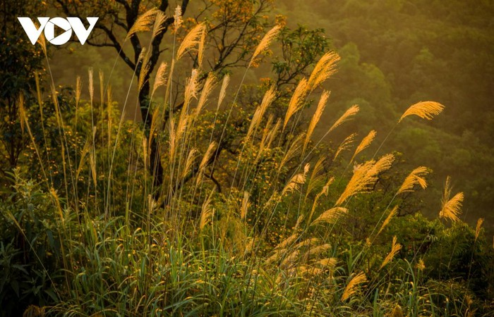 Glorious sunset in Vietnam’s mountainous regions Glorious sunset in Vietnam’s mountainous regions