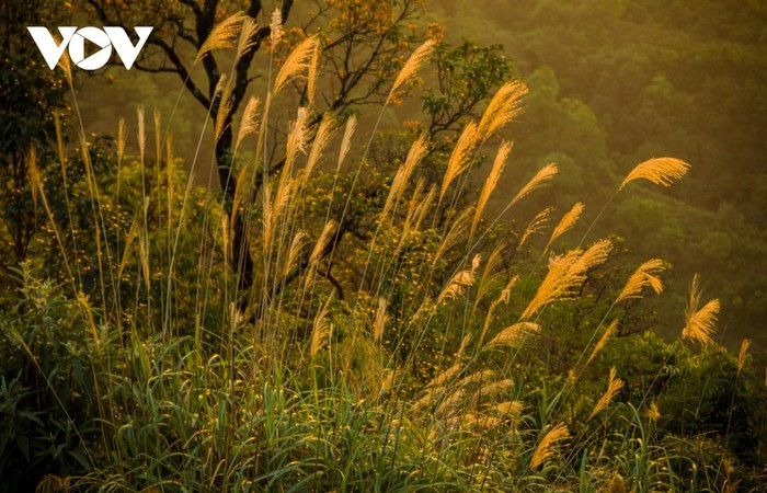 Glorious sunset in Vietnam’s mountainous regions