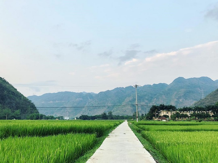 Picturesque beauty of Pom Coong village in northern Vietnam