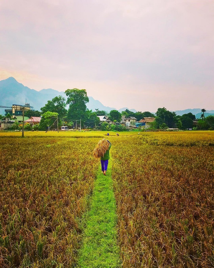 Picturesque beauty of Pom Coong village in northern Vietnam