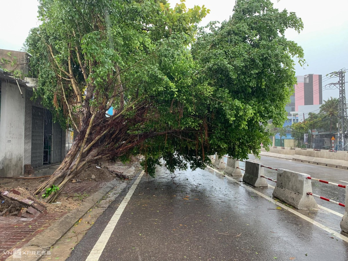 Storm Etau kills two people, blows off house roofs  in central Vietnam