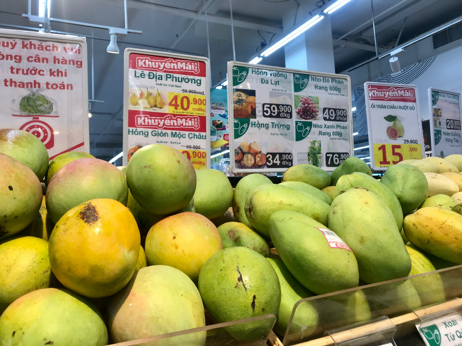 Vietnamese mango exports to U.S enjoying robust increase