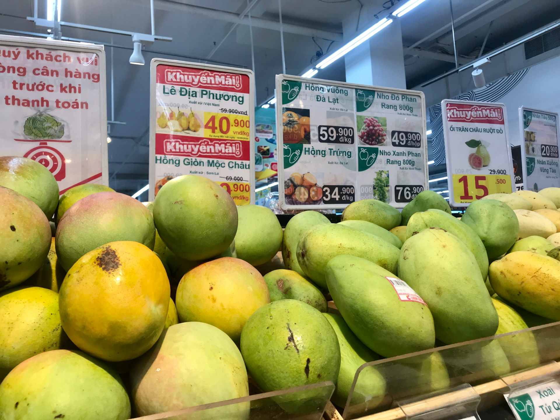 vietnamese mango exports to us enjoying robust increase