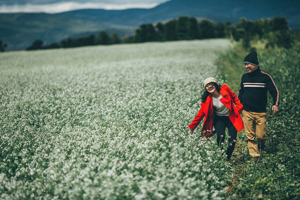 Ravishing flower seasons in Da Lat in November