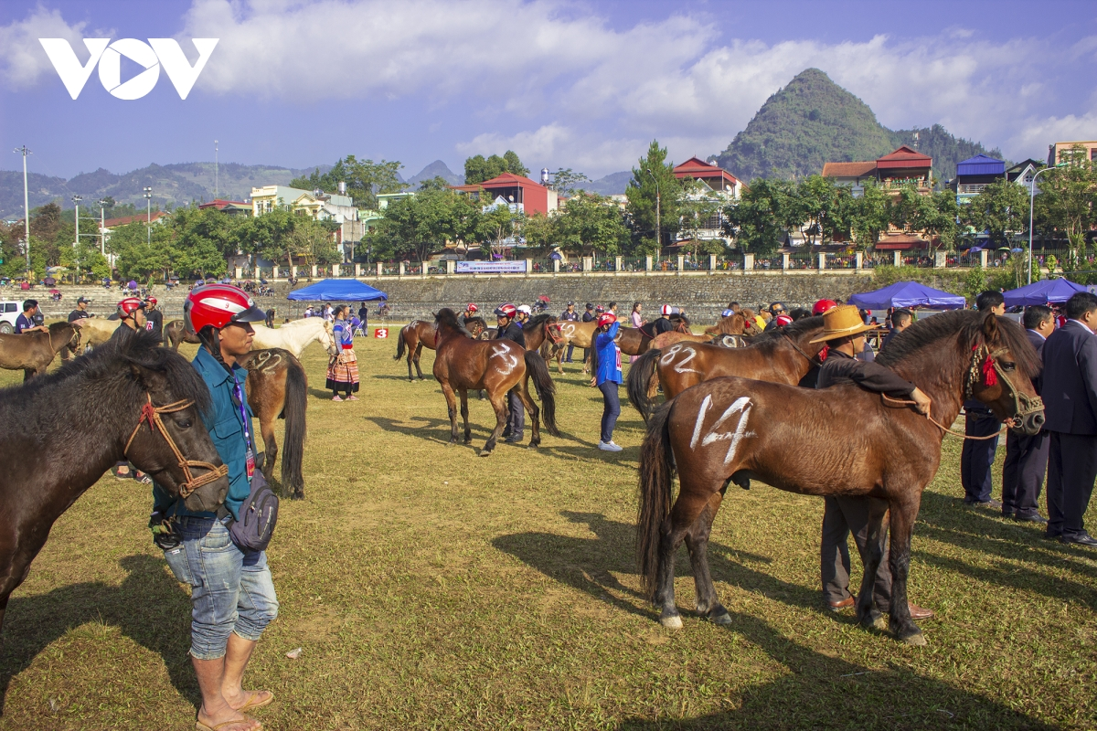 Unique wintery festival on Bac Ha Plateau kicks off