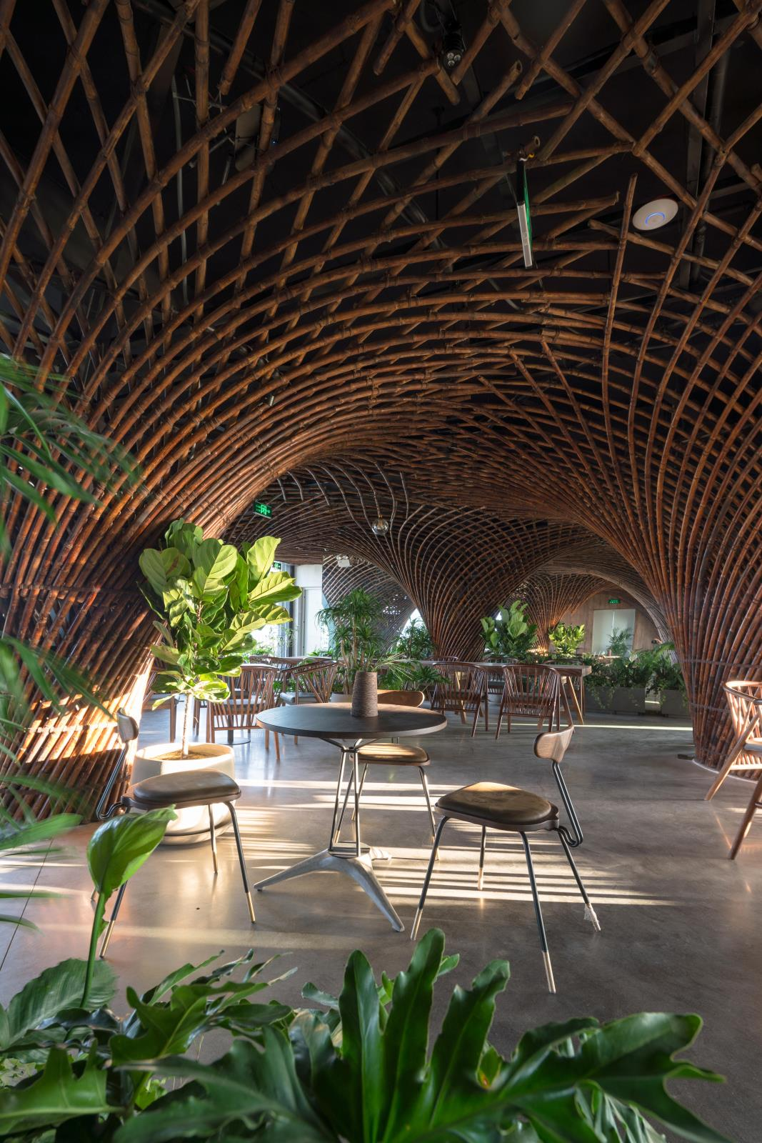 Coffee shop in Vietnam wins int’l architecture award