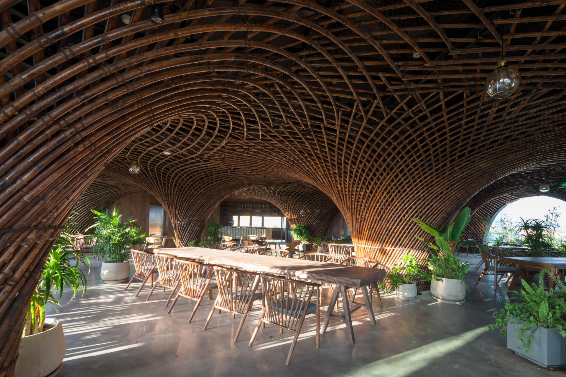 Coffee shop in Vietnam wins int’l architecture award