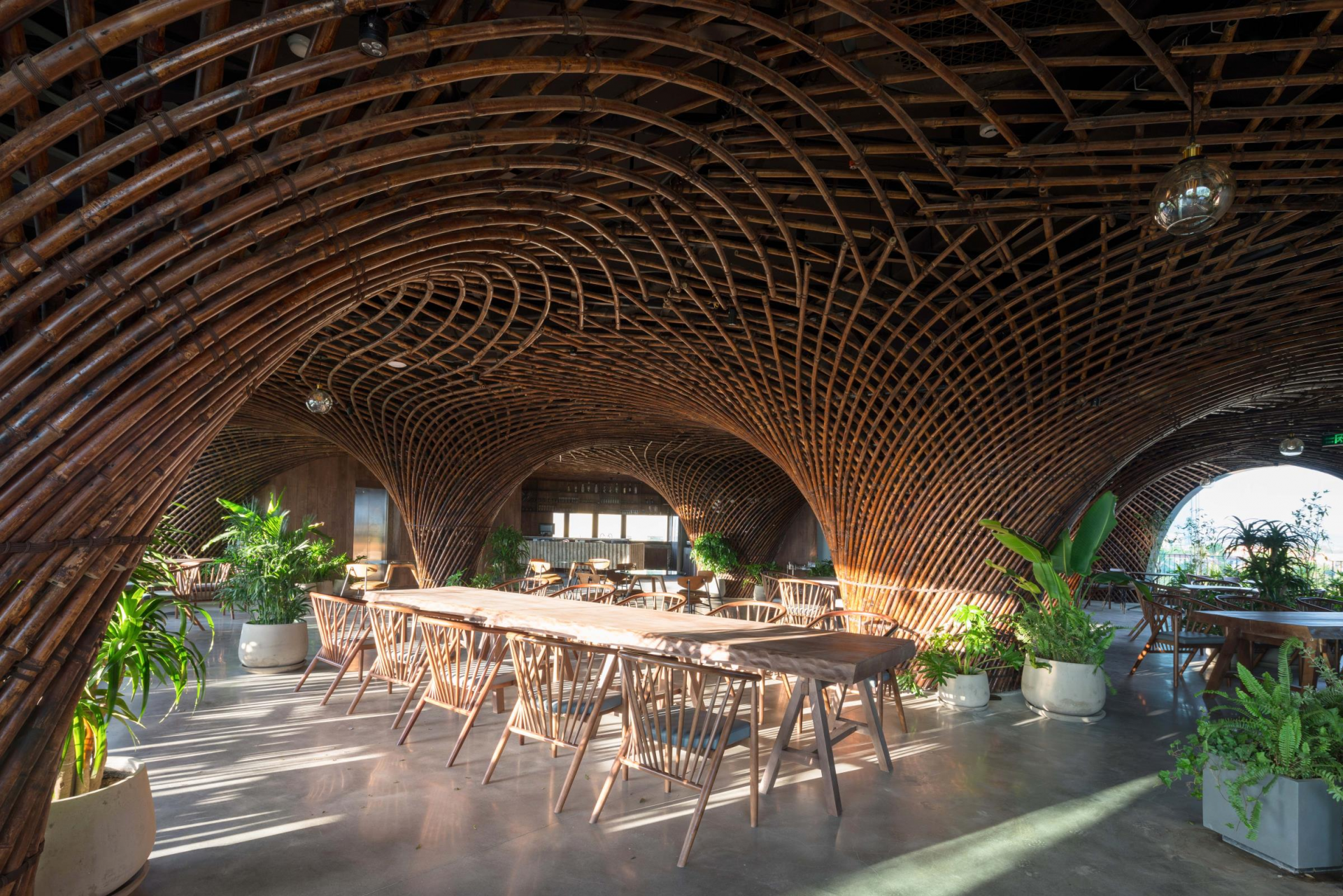 coffee shop in vietnam wins intl architecture award