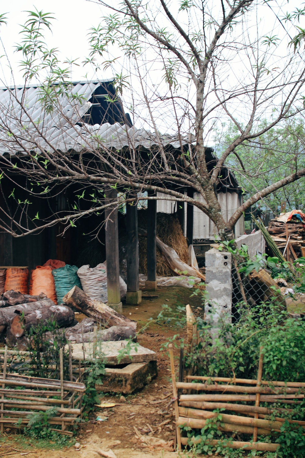 Cu Vai village (Yen Bai) boasts slower pace of life