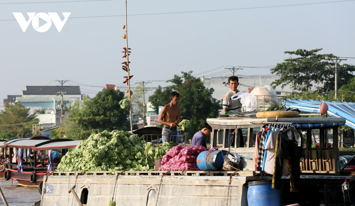 Cai Rang floating market, a highlight of Vietnam’s Mekong Delta