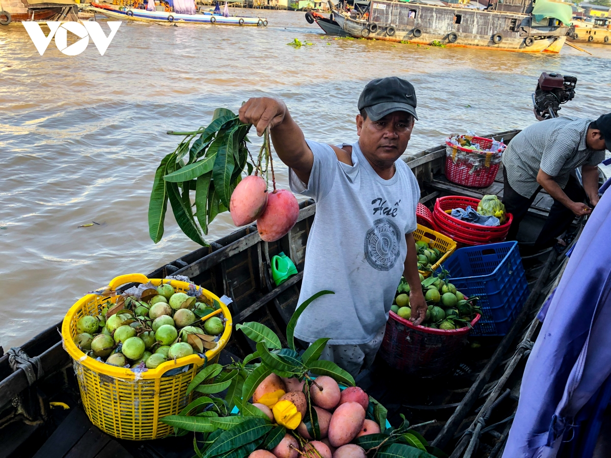 Cai Rang floating market, a highlight of Vietnam’s Mekong Delta
