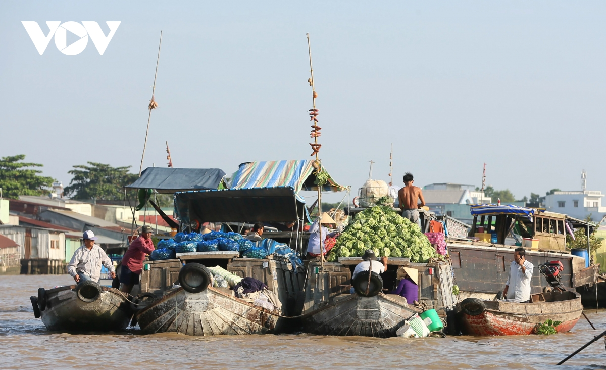 cai rang floating market a highlight of vietnams mekong delta