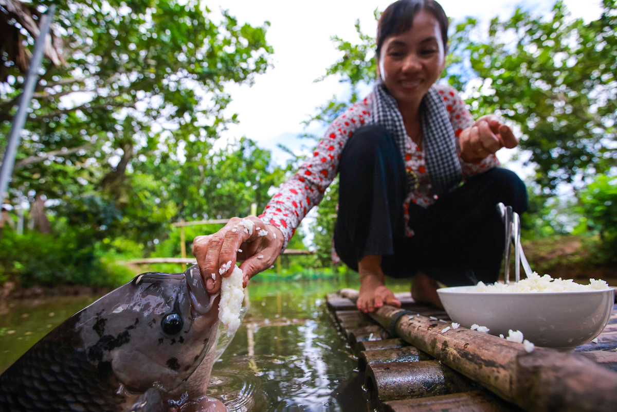 Interesting experiences that only found in Western Vietnam