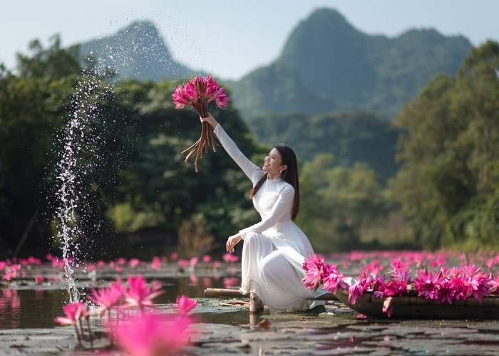 Top 3 Most Beautiful Streams in Vietnam