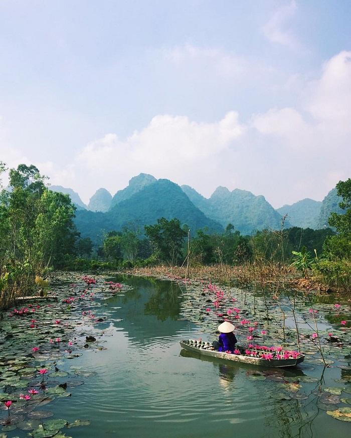 Top 3 Most Beautiful Streams in Vietnam