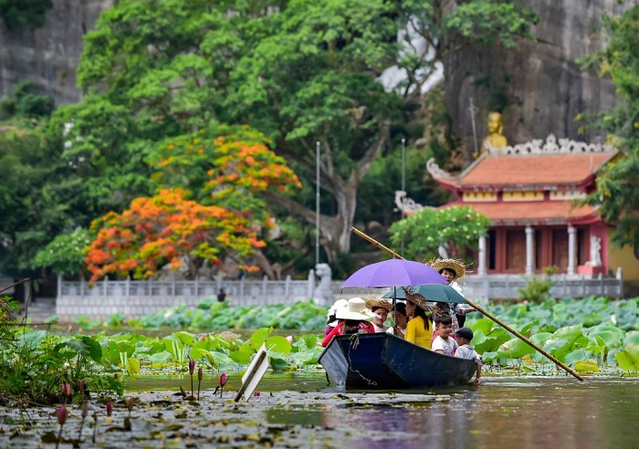 Top 3 Most Beautiful Streams in Vietnam