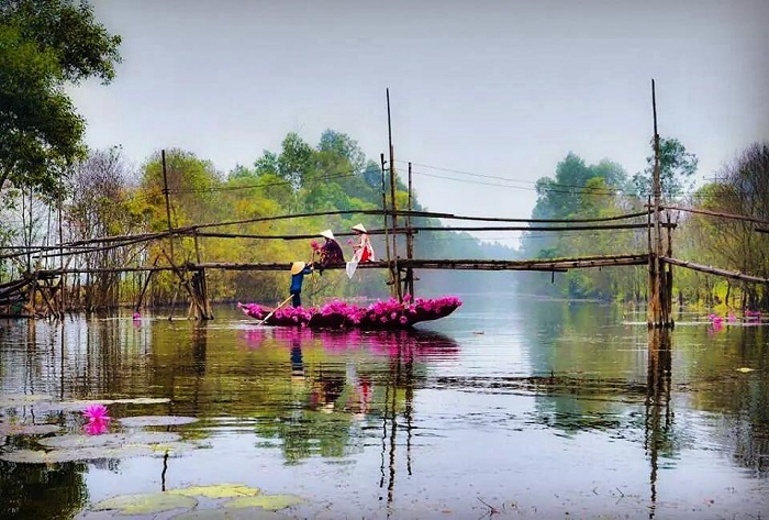 Top 3 Most Beautiful Streams in Vietnam