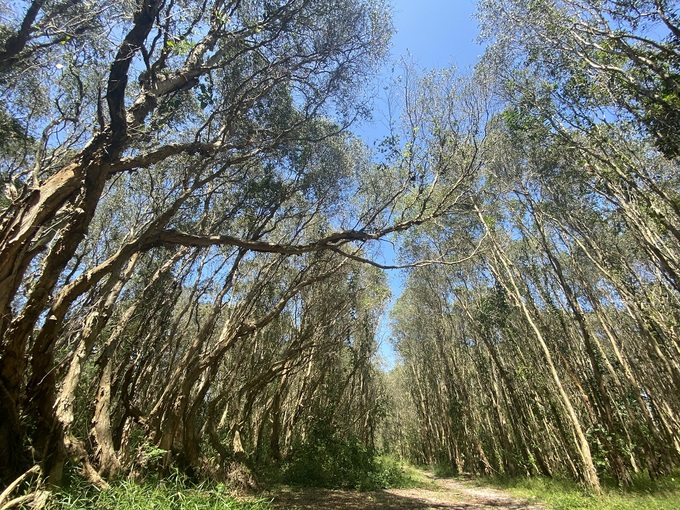 The pristine beauty of Ho Tram in Southern Vietnam